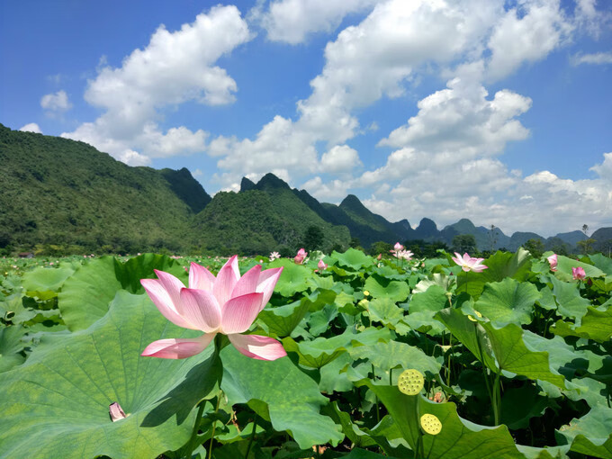 广西百色靖西风水宝地(广西风水宝地大全)