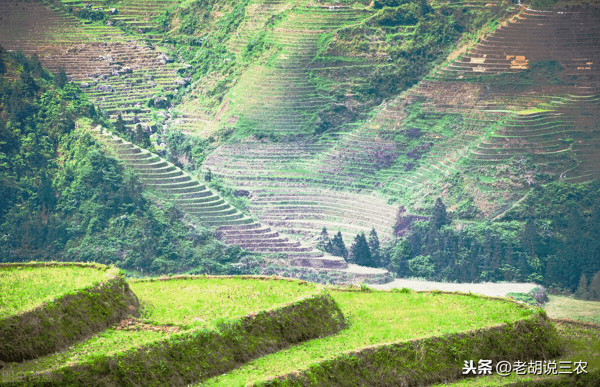 房后面有公路农田风水吗?(公路征地补偿)