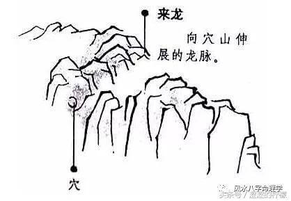 风水龙形地占什么位置(风水中的山龙水龙是什么意思)