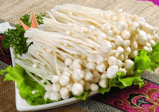 孕妇能吃菌类食物吗?(孕妇能吃菌类)