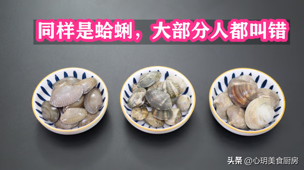 文蛤(青蛤)
