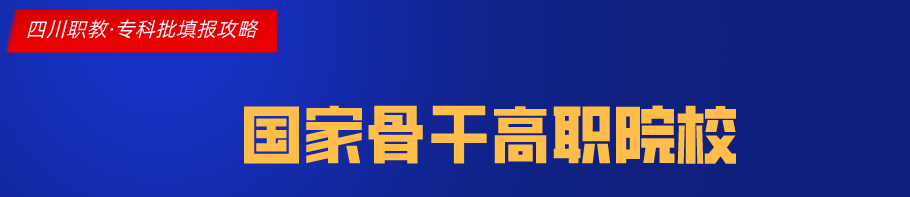 四川大学专科学校