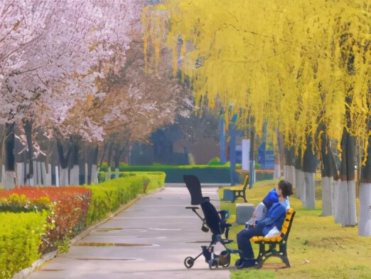 西安邮电大学BBS(西安文理学院)