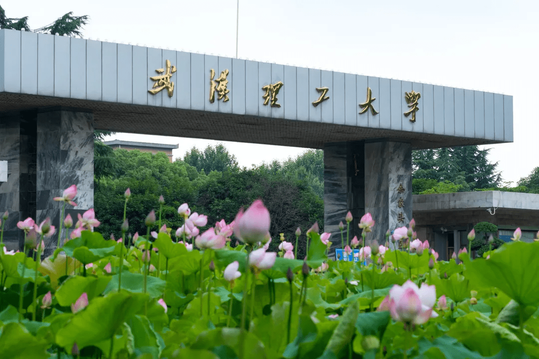 武汉理工大学研究生院在哪个校区?(武汉理工大学考研专业)