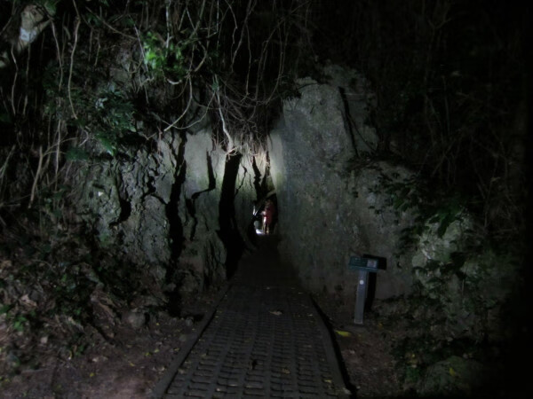 去台湾旅游网(2022怎么去台湾旅游)