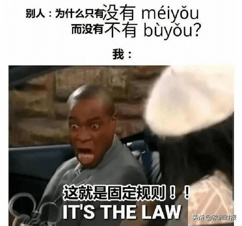 笑出猪叫表情包(笑出猪叫gif)