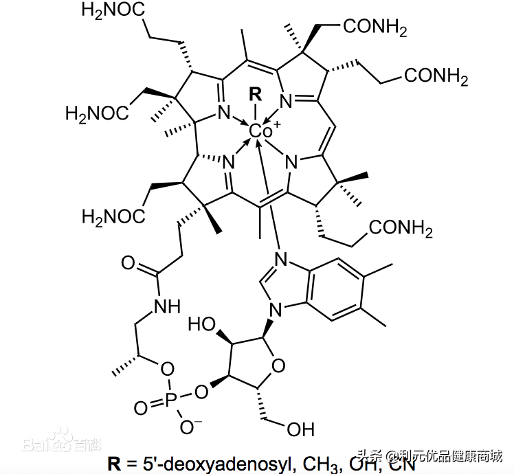 维生素b12的作用和功效(维生素b12哪些食物最多)