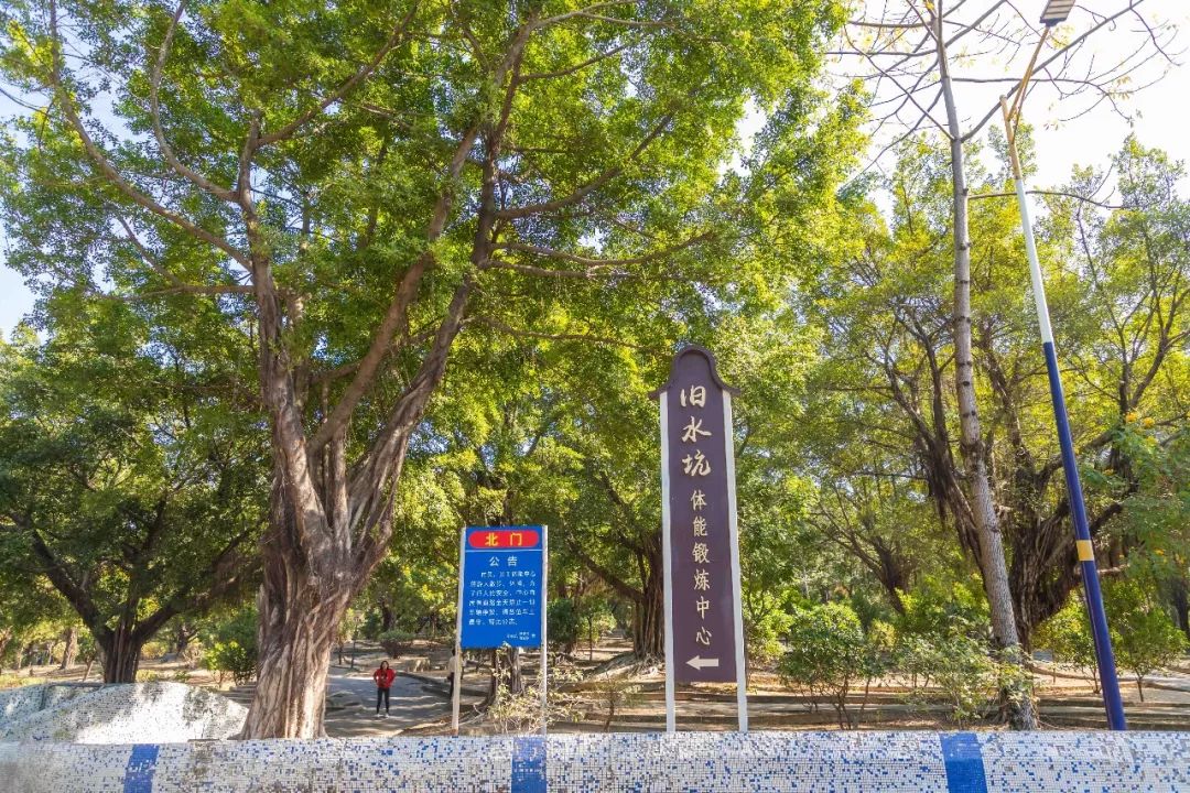 旧水坑森林公园在哪里(番禺旧水坑公园)