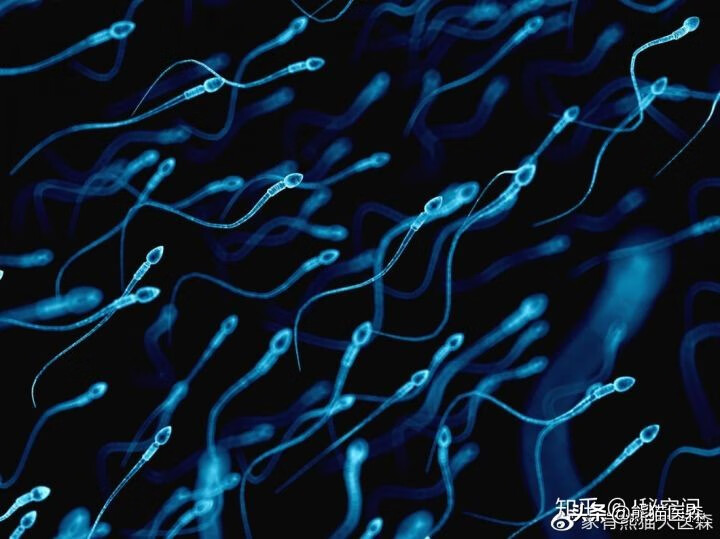 精液好喝吗(精子可以吃吗)
