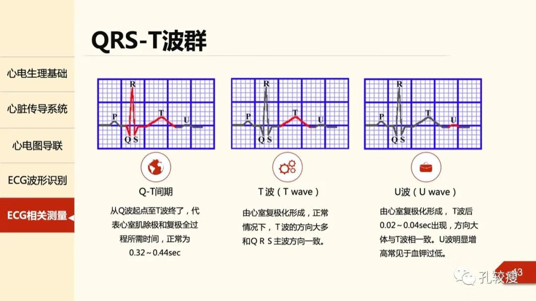 心电图导联位置示意图(心电图机导联位置图)