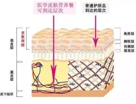 脸上有黄褐斑怎么办这是什么原因(37岁脸上长黄褐斑怎么办)