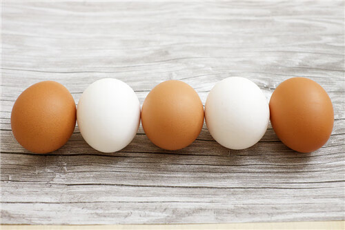 鸡蛋壳的主要成分是什么?(鸡蛋壳的主要物质)