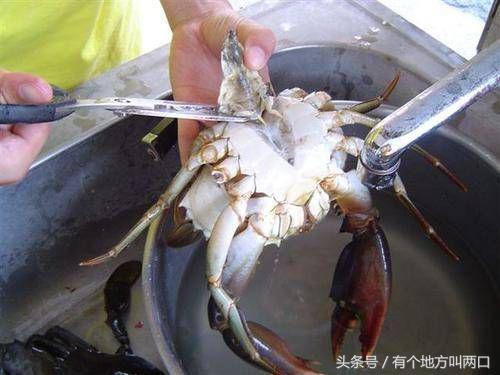 螃蟹怎么清洗与做法(怎样清洗螃蟹的方法视频教程)