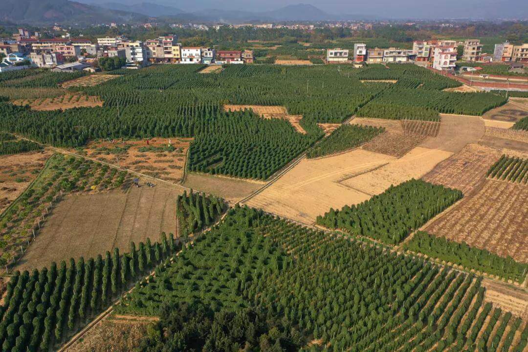 桂平市金田电站白马山风水图(白马山是什么地方)-百科学社