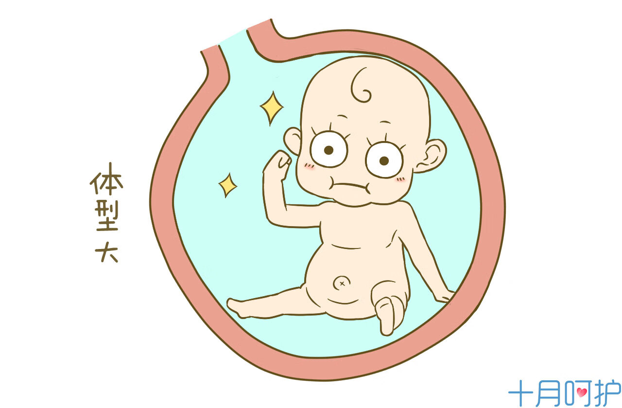 一般入盆后多久会生