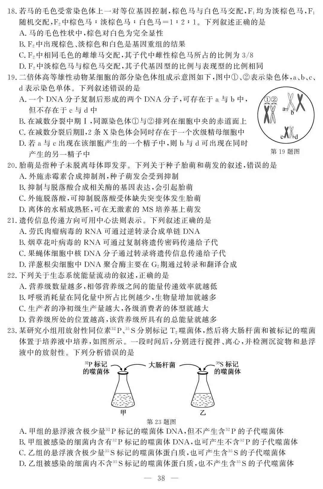 2020浙江高考试卷(2020年数学高考卷)