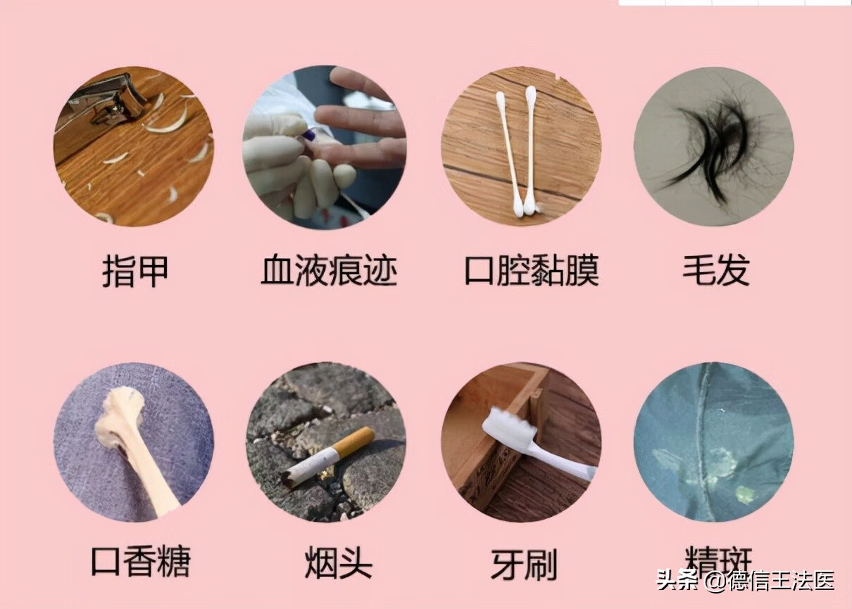 亲子鉴定需要什么手续?(做亲子鉴定需要提供什么手续)