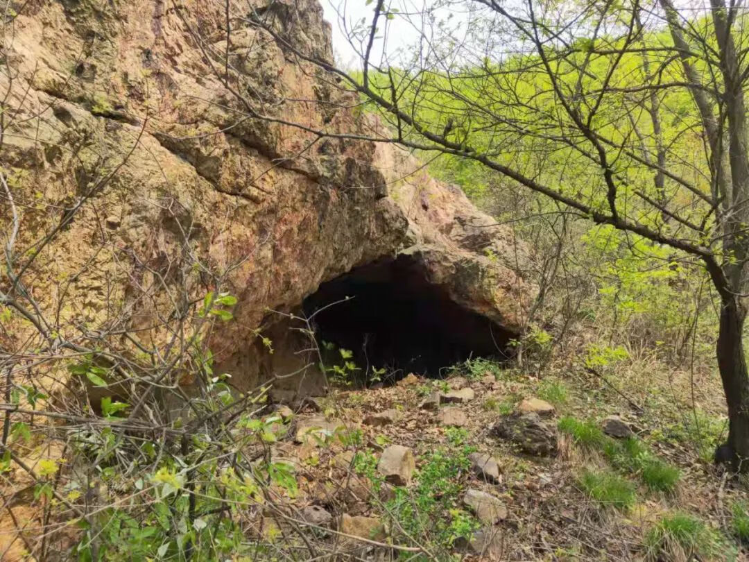 上山龙风水宝地(九龙缠顶风水宝地)