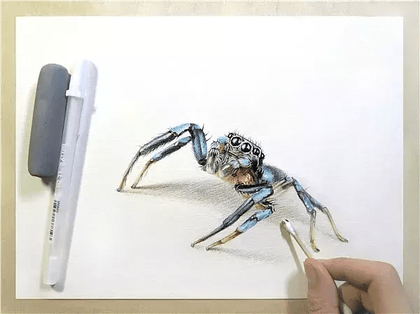 3d蜘蛛(蜘蛛怎么画3d)