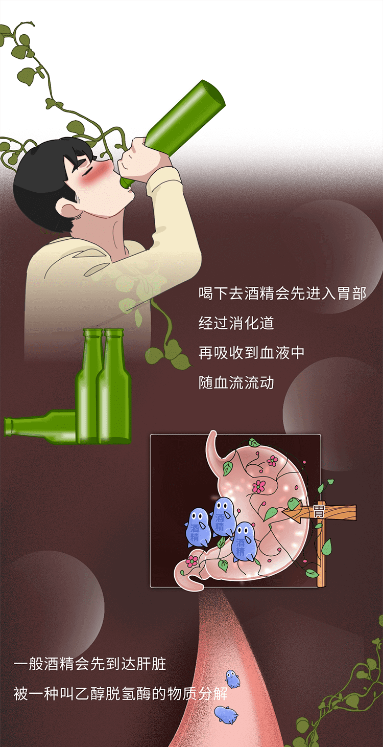 酒后吃什么解酒?(喝酒之后吃什么解酒)