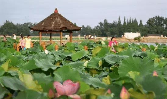 成都華西壩風水(成都東去華西壩地鐵)