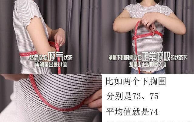 34b胸围大概多少厘米(34b胸大约几斤)