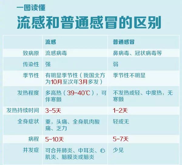 如何预防流感作文(我们应该如何预防流感)