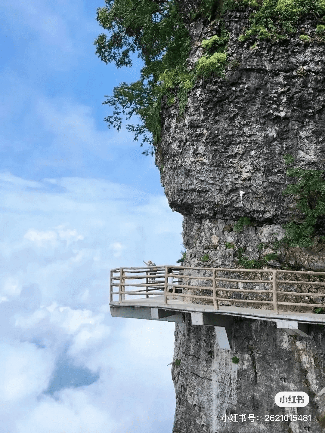 暑假去哪里旅游好玩呀(暑假去哪里玩最好)
