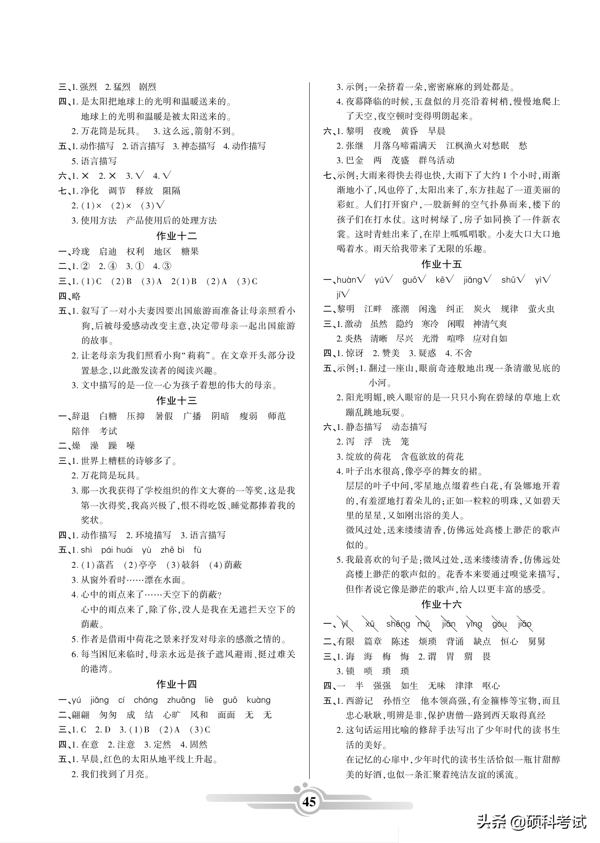 五年级语文寒假作业（上册）42页，知识全面，难度适中，附答案