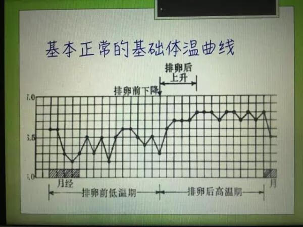 怎样算排卵期才是最准确的(每个月排卵期怎么算)