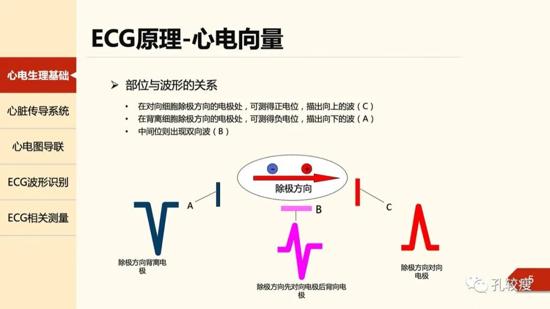 心电图导联位置示意图(心电图机导联位置图)