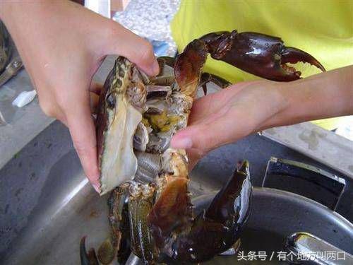 螃蟹怎么清洗与做法(怎样清洗螃蟹的方法视频教程)