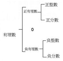 有理数的定义方式(有理数的定义和概念)