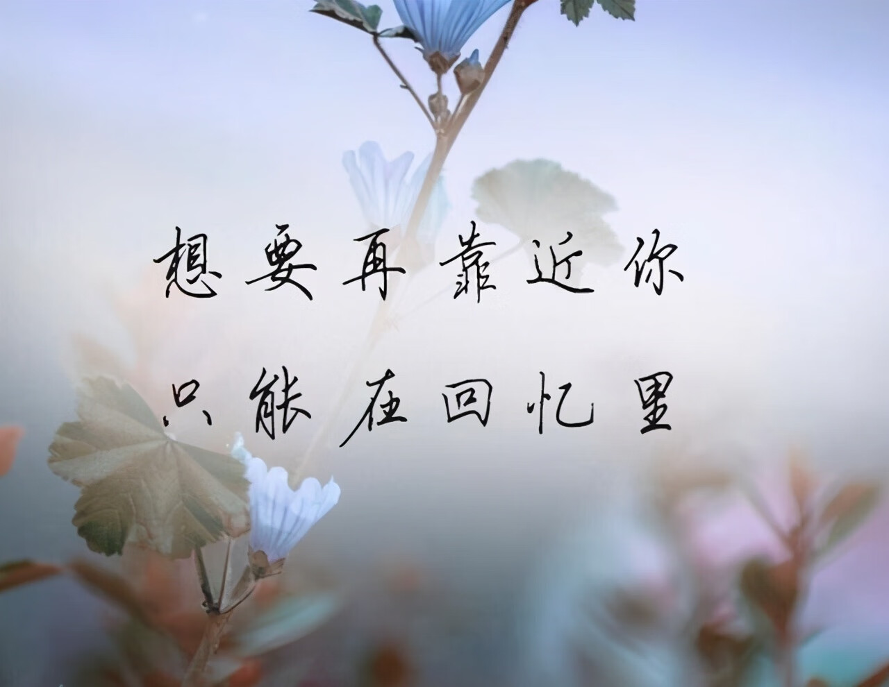 315爱情含义是什么意思(315在爱情里是啥意思)