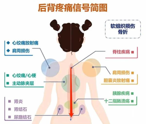 身体背部疼痛的原因(后背里面疼痛是什么原因)
