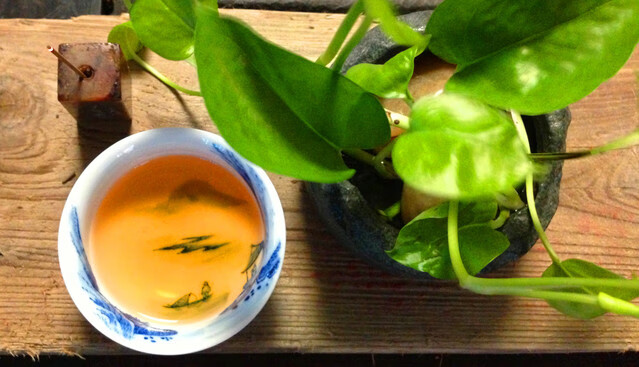水仙茶属于什么茶(水仙茶为什么叫水仙)