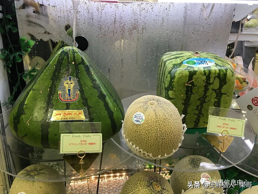 果(果蓏)
