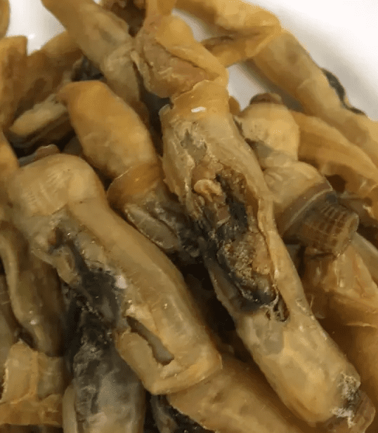 蛏子怎么洗怎么烧(蛏子的做法及清洗)