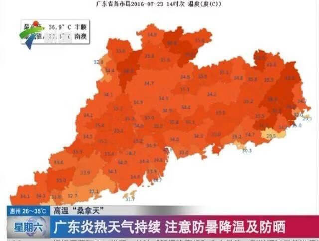 夏季养生食谱大全(夏季清凉养生食谱)