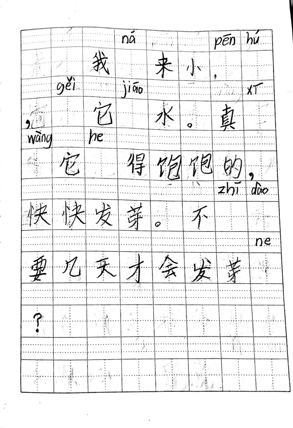 植物生长观察日记（1）