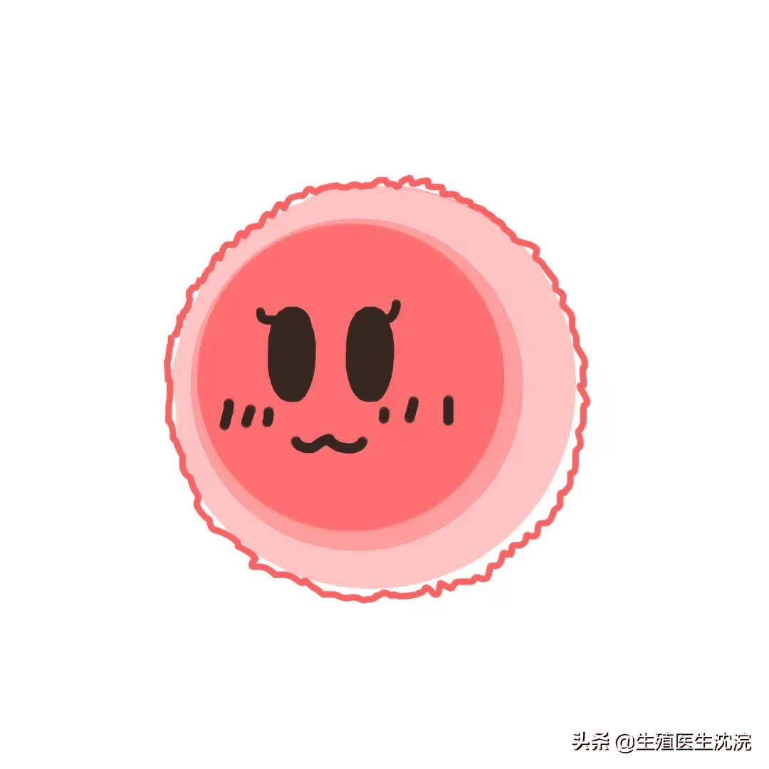 经期(正常的月经期)