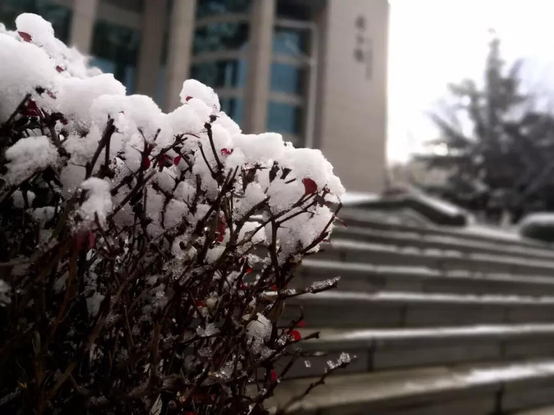 大连工业大学(大连理工研究生学院)