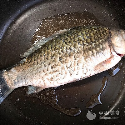 鲫鱼豆腐汤的做法和步骤(鲫鱼豆腐汤怎么做才好吃)