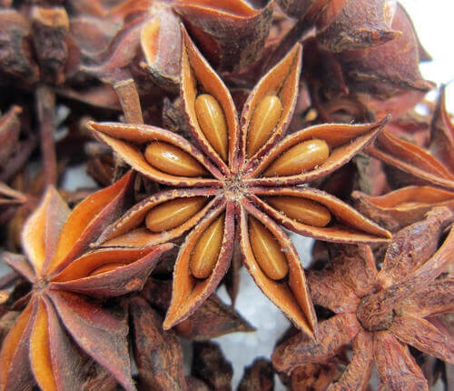 大茴香是什么东西(小茴香是什么东西)