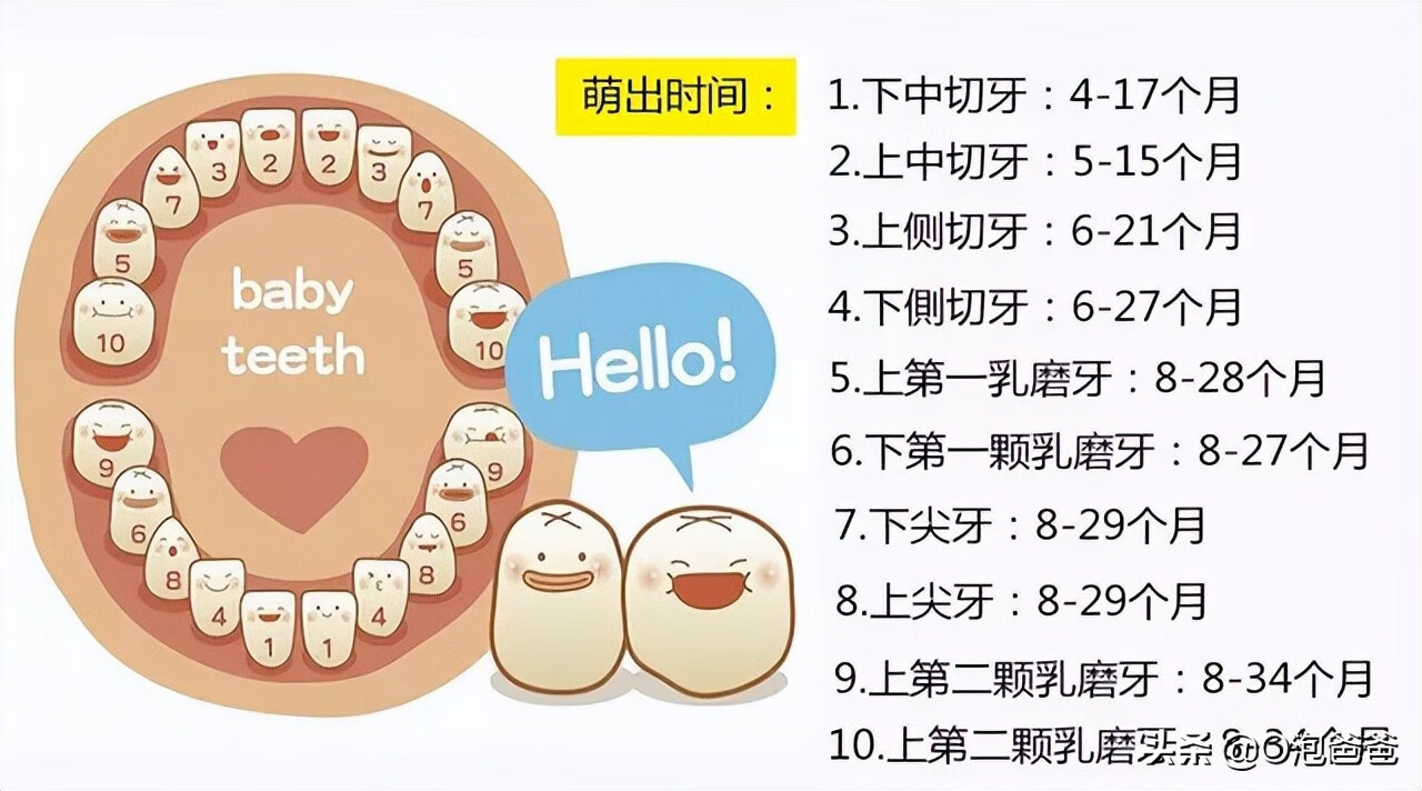 10个半月宝宝发育标准(10个月宝宝行为发育标准)