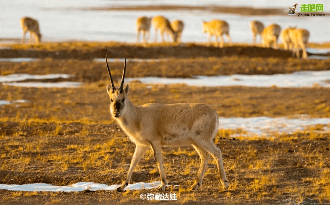 暑假去哪里旅游好玩呀(暑假去哪里玩最好)