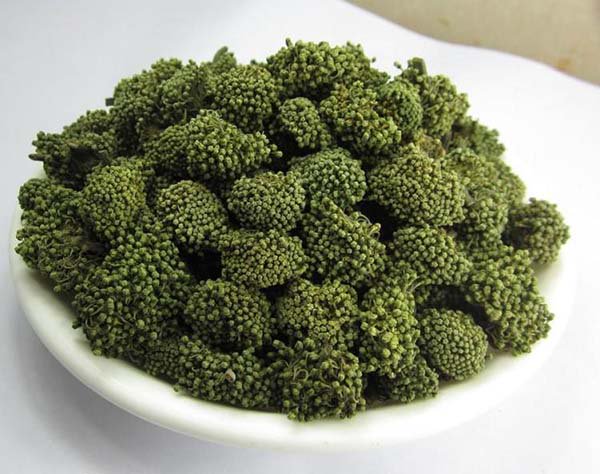三七花的功效和作用(三七花的作用和功效)