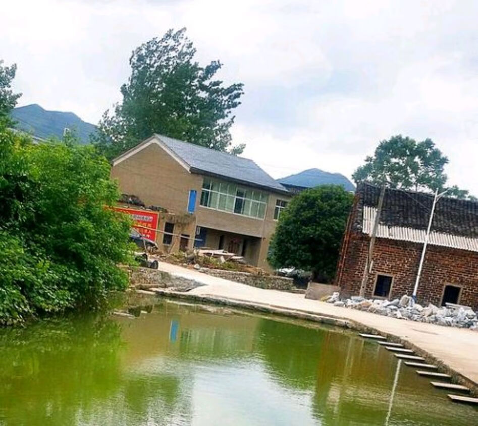 房前有池塘风水好不好房前最好的风水鱼池
