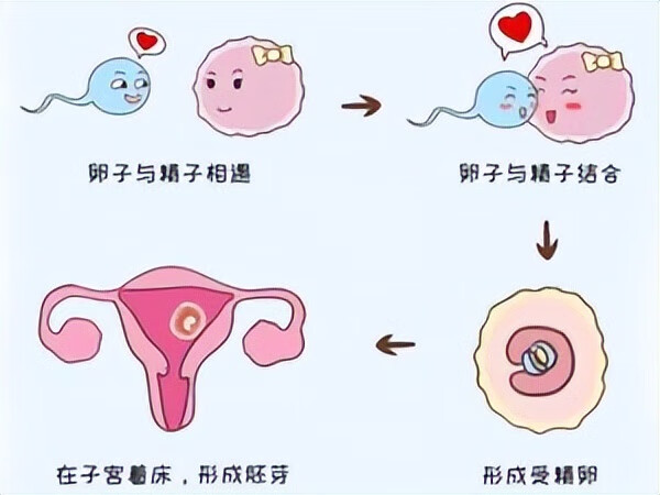 做了之后怎么才能不怀孕(不做措施怎么样才能不怀孕)