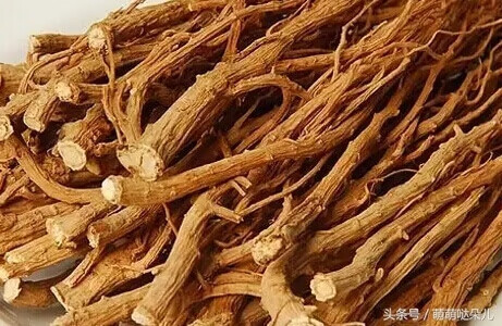 小柴胡颗粒的功效与作用及禁忌(小儿小柴胡颗粒的功效与作用)